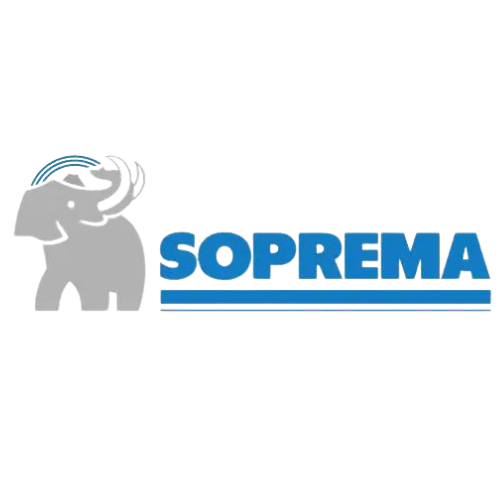 Logo 4